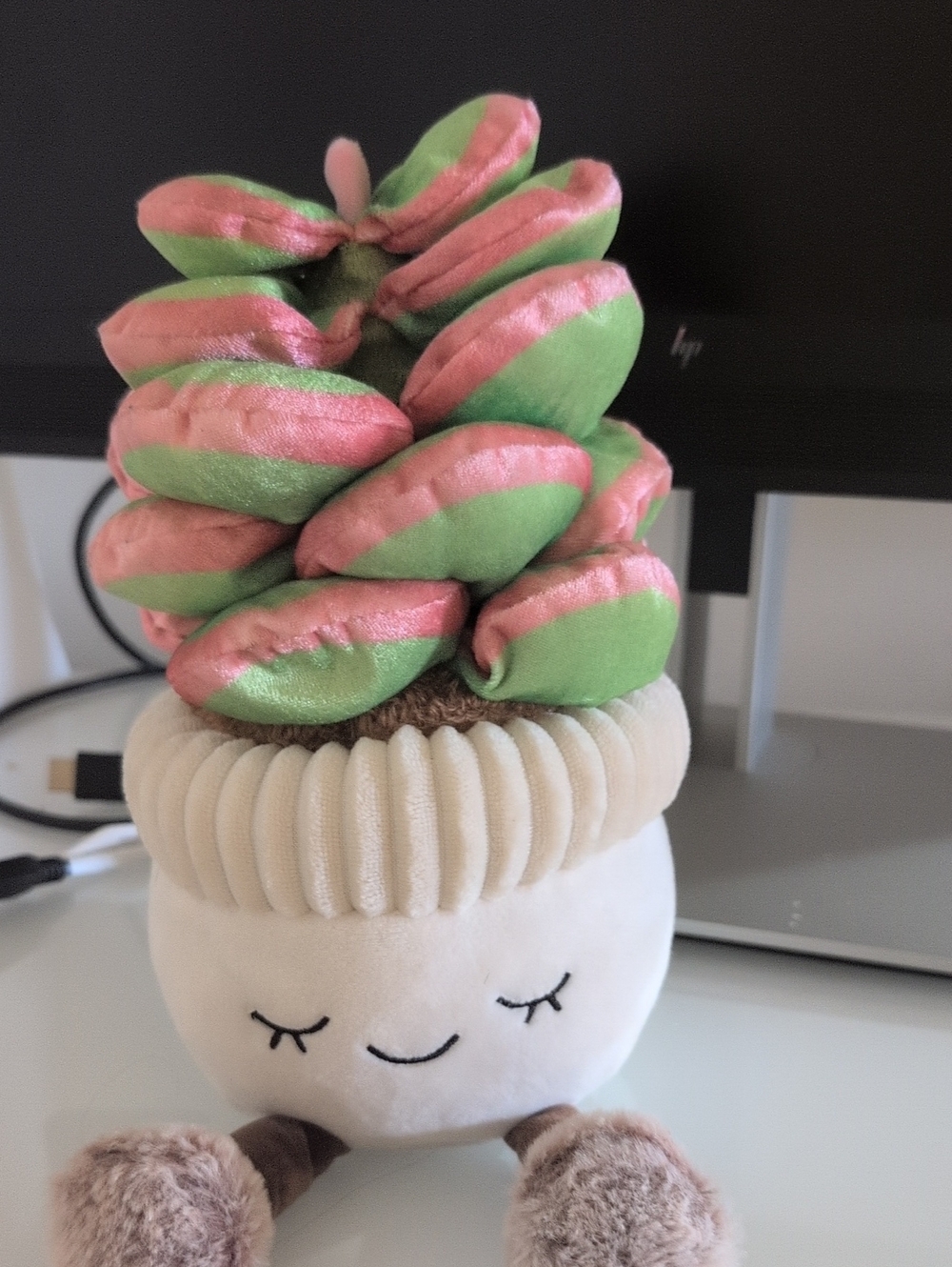 Plush Pink & Green Succulent Soft Toy for Kids